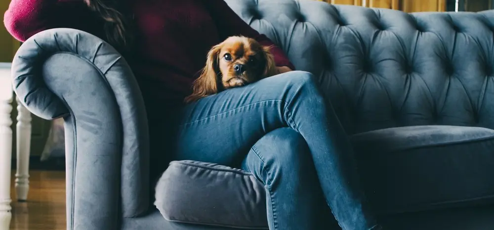 Dr Aneta Waszkiewicz - Trener Biznesu