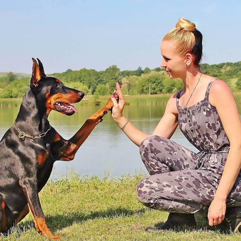 Mechanizmy komunikacji